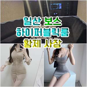 일산 가라오케 퍼블릭 룸